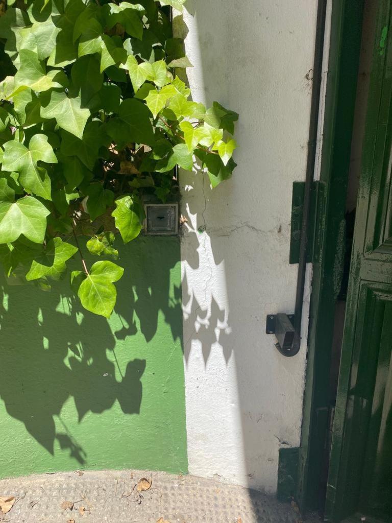 Rentalsevilla San Clemente Exteriör bild