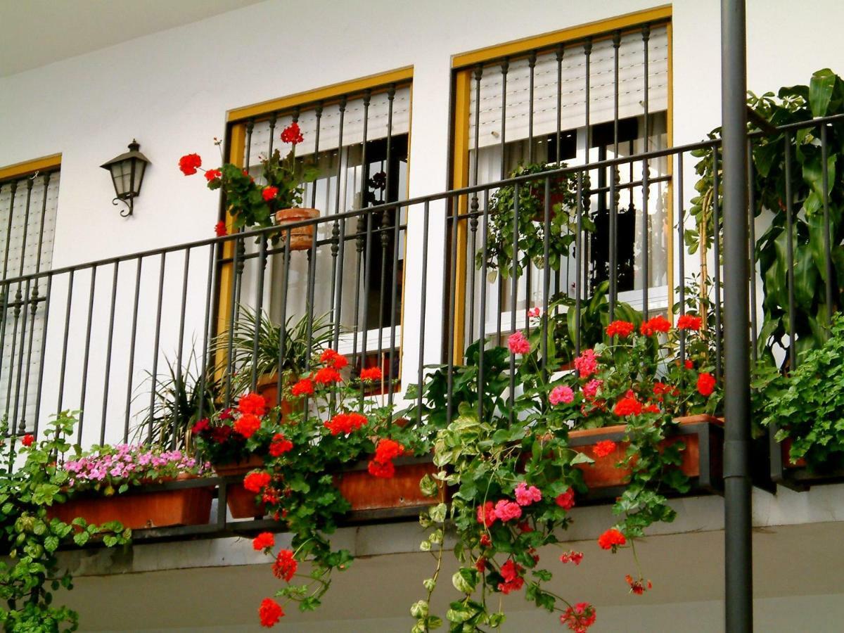Rentalsevilla San Clemente Exteriör bild